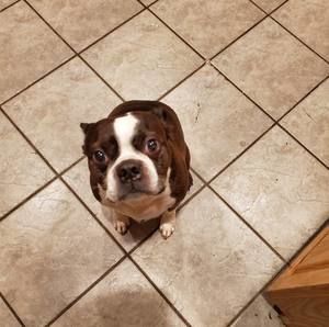 Meet your Posher, Kellie